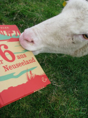Neuseeländische Schafe mögen »Wir sechs aus Neuseeland« auch in der deutschen Fassung